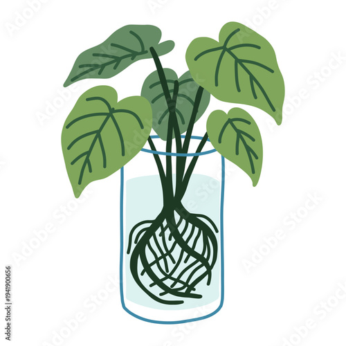 Green tropical houseplant water propagation doodle with glass vase and roots featuring indoor botanical decoration