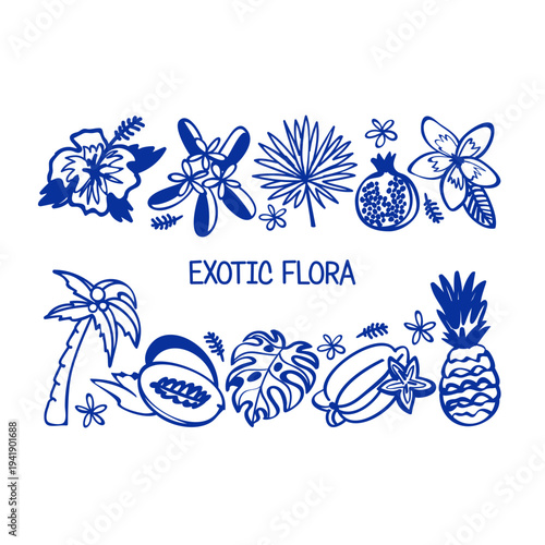 Exotic flora hand drawn vector illustrations. Vector set with exotic plants and fruits.