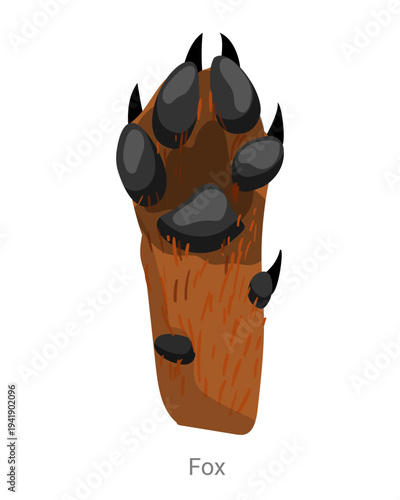 Cartoon vector illustration of a fox paw with pads, claws and fur texture isolated on a white background for wildlife tracking or zoology education.