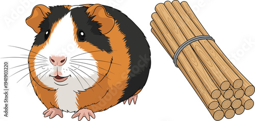 Cute guinea pig pet illustration with bundle of wooden sticks tied together representing small animal care and natural material concept