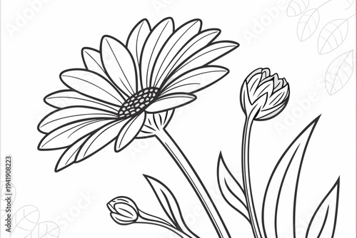coloring page line art the gazania flower black vector