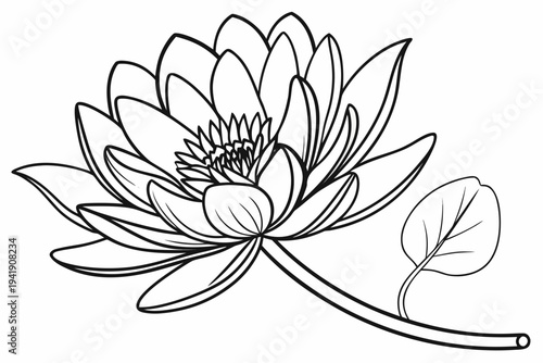 coloring page line art the gazania flower black vector