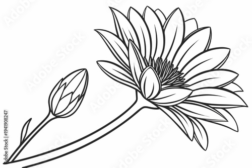 coloring page line art the gazania flower black vector