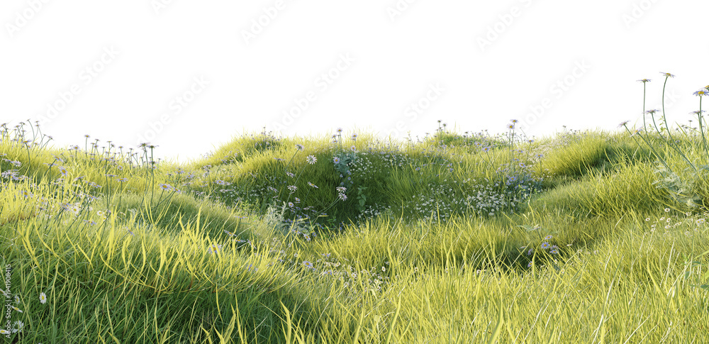 Naklejka premium Hills with grass on a transparent background. 3D rendering