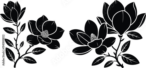 Black and white illustration of blooming magnolia branches with detailed leaves and buds
