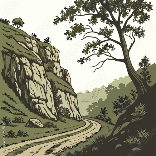 Rugged hillside valley with winding dirt road and trees