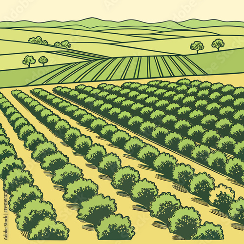 Rolling green hills and farmland with rows of crops, scenic agricultural landscape