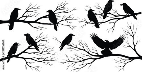 Vector illustration of bird silhouettes perched on leafless branches with one spreading wings symbolizing nature, motion, identity, diversity, culture, tradition, inclusivity, and education