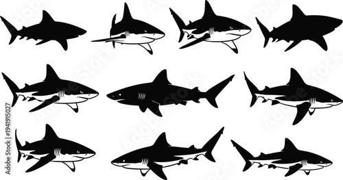 Vector illustration of shark silhouettes in diverse profiles symbolizing marine life, identity, diversity, culture, tradition, inclusivity, heritage, and education