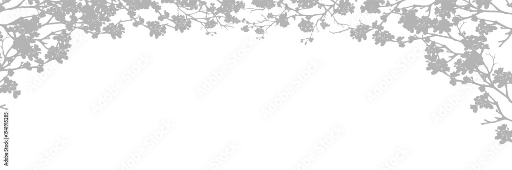 Fototapeta premium Shadow Cherry blossom branch silhouette on white background.Elegant sakura floral frame Minimal botanical design overlay ideal for wedding invitations,greeting cards,spring banners,stationery