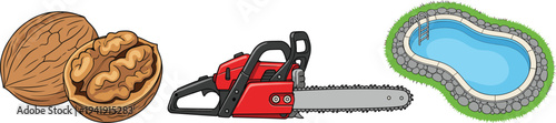 Walnut with Kernel, Red Chainsaw Tool, and Backyard Swimming Pool Vector Illustration Collection Isolated on Background