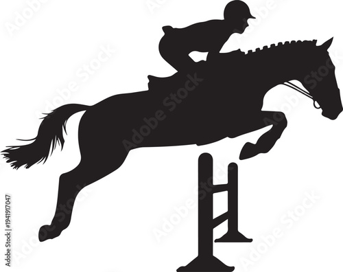 Horse jumping over obstacles