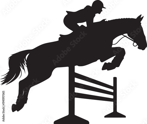 Horse jumping over obstacles