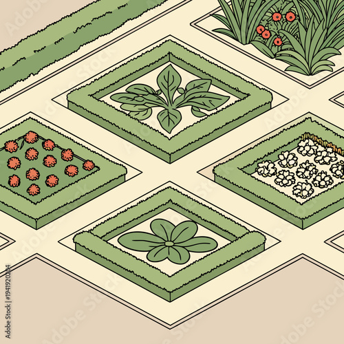 Detailed illustration of formal garden beds with topiary and flowers in geometric patterns