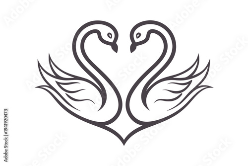A minimalist vector graphic illustration of two swans forming a heart shape with their necks and wings in a romantic design