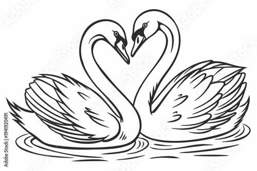 A minimalist vector illustration of two swans forming a heart shape with their necks on the water