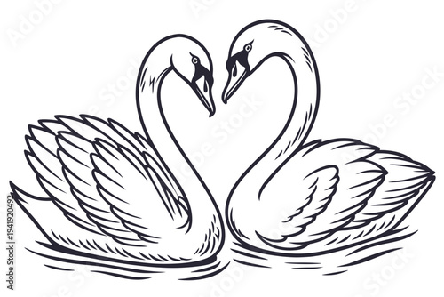 A minimalist vector illustration of two swans forming a heart shape with their necks on a white background