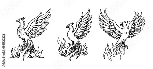 Phoenix set with detailed woodcut style illustration of a phoenix rising from flames featuring high contrast black ink, mythical aesthetic, with white background and black and white