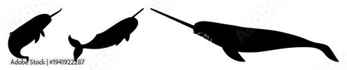 Narwhal set with solid black silhouette and spiral tusk featuring arctic marine symbol, aquatic mammal, sea creature with ocean and whale