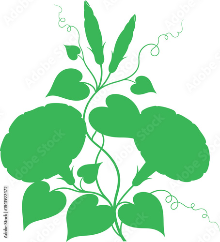 Morning glory silhouette with heart shaped leaves and curly climbing tendrils