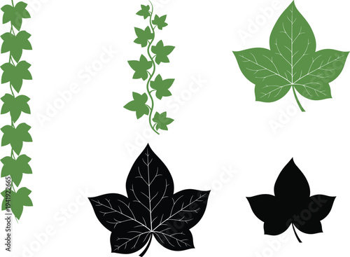 Green and black ivy leaves set includes hanging vines and individual leaf designs