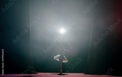 Ballet. Classical ballet performed by a girl of ballet dancers on the stage of the opera house.