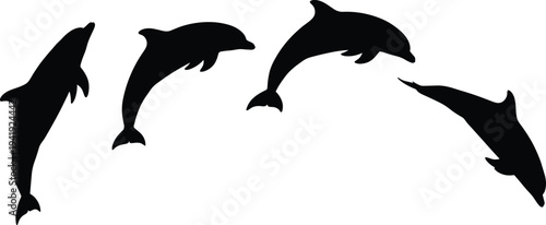 Jumping dolphin silhouette vector set, marine life animal jumping out of water, ocean illustration