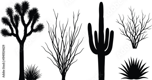 Desert plant silhouette vector set, cactus joshua tree agave shrub icons, dry wilderness landscape element