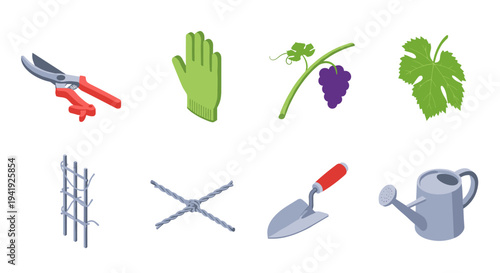 Essential gardening tools and plants in isometric style for vineyard maintenance
