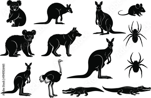 Australian wildlife silhouettes featuring kangaroos, koalas, crocodiles, emu, dingo, spiders, mouse, iconic fauna vector illustration for education and nature themes