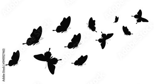 A collection of black butterflies in flight against a white background a striking silhouette high quality