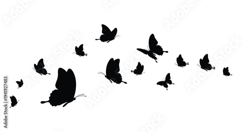 A flock of butterflies in flight depicted as a striking black silhouette high quality professional detailed