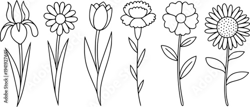 Collection of simple black outline flower including iris tulip daisy carnation and sunflower