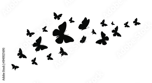 A flock of black butterflies in flight creating a dynamic and artistic composition silhouette high quality