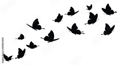 A graceful flock of butterflies takes flight in a dynamic sweeping arrangement silhouette high quality professional