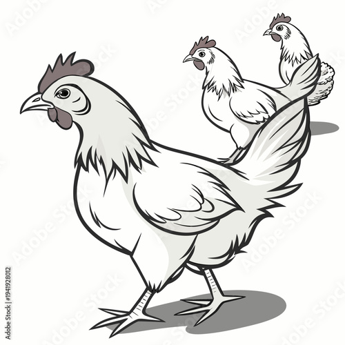 White cartoon chickens standing on white background