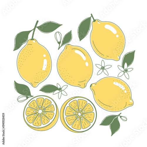 A collection of cheerful yellow lemons and lemon slices with green leaves. illustration