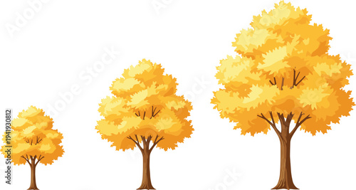 Stylized autumn deciduous trees illustration with bright yellow foliage, seasonal growth stages artwork for nature, education, environment, decorative design, and creative commercial projects