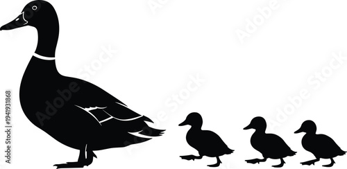 Duck family silhouette with parent and ducklings walking, wildlife, nature, animal behavior, parental guidance, care, leadership, family, bird illustration