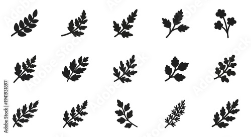 Collection of various black leaf silhouettes arranged in a grid pattern on a clean white background viewed from directly above