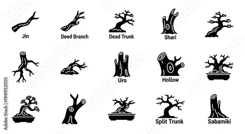 Various tree stump illustrations showcasing different shapes and textures in a collection