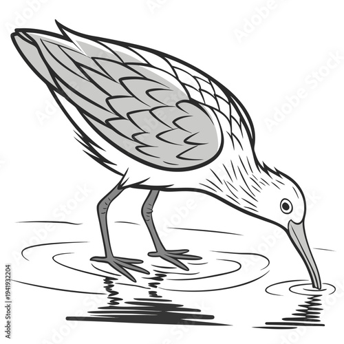 Gray bird with long beak dipping into water