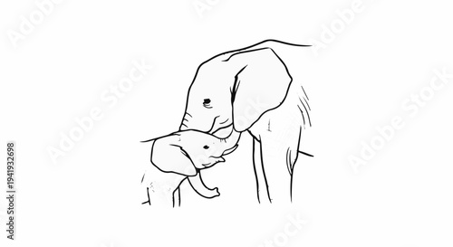 A mother and baby elephant, black and white line drawing