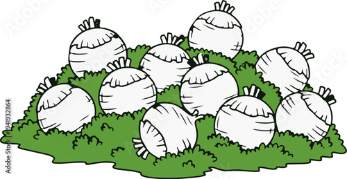A pile of white, bulbous vegetables with green leafy tops in a heap