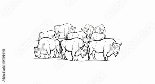 A herd of bison drawn in a simple, black and white line art style