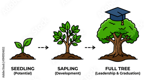 Visual metaphor of growth from seedling to full tree, representing potential, development, leadership, and graduation.
