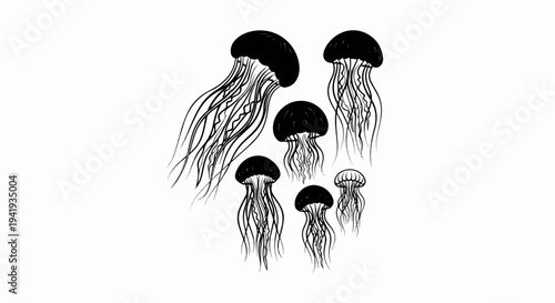 A group of six jellyfish, sketched in black ink on a white background