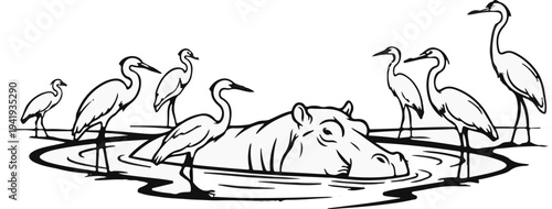 A group of wading birds surrounds a partially submerged hippopotamus in a water body