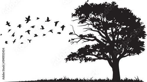 Tree silhouette with birds flying