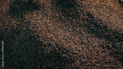 Pile Of Black Tea Rotating In The Sun